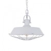 Brewer Cage Industrial Pendant Light Pale Grey