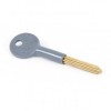 Chubb Short Security Star Key