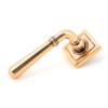 Polished Bronze Newbury Lever on Rose Set (Square) - U