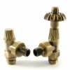 Abbey TRV Angled Radiator Valve Burnished Brass