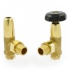 Black and Brass Old School Radiator Valves