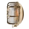 Carlisle Polished Brass IP65 Web Prismatic Glass Bulkhead Light