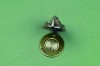 Lions Head Lock Cover - Brass/Nickel