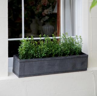 Window Boxes