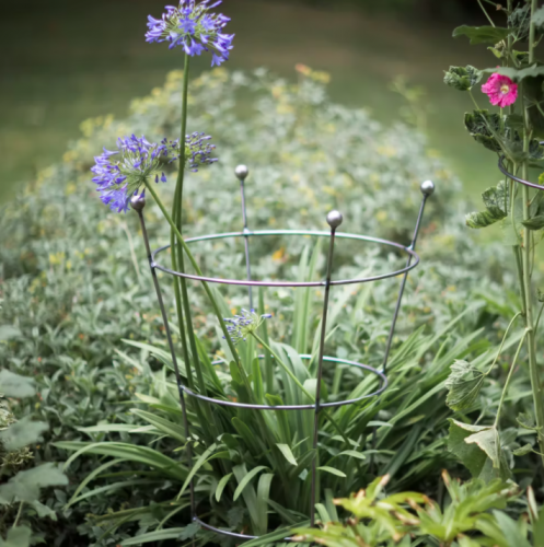 Barrington Flared Plant Support, Large - Raw Metal