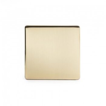 Brushed Brass Period Metal Single Blanking Plate
